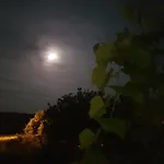 Sloneczny Dom W Mragowie Z Duzym Ogrodem Mrągowo